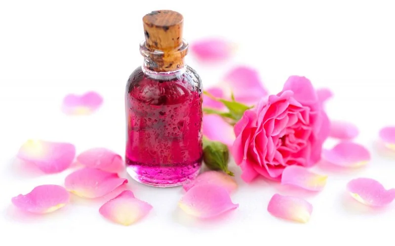 کاربرد اسانس گل محمدی در صنعت عطر و ادکلن