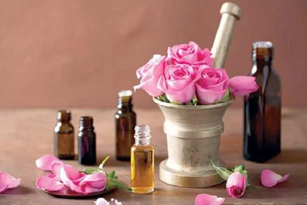 روشهای استخراج اسانس گل محمدی