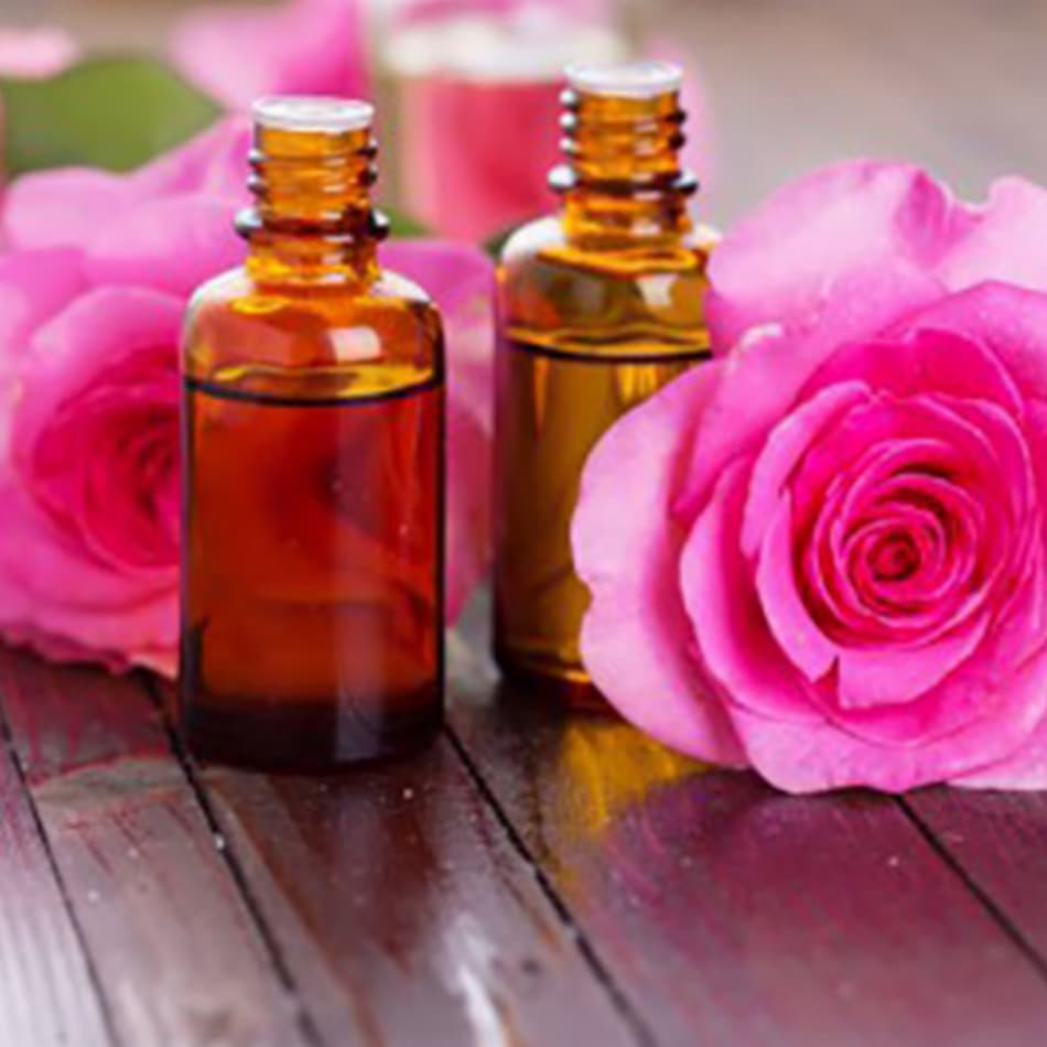 محیطی و ژنتیکی بر میزان و کیفیت اسانس گل محمدی